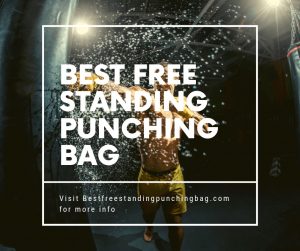 Best Free Standing Punching Bag